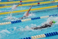 выкса.рф, Четырнадцать медалей выиграли пловцы на областных соревнованиях