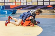 выкса.рф, Алёна Алёхина выиграла бронзу на первенстве Европы по самбо