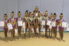 выкса.рф, Юные гимнастки завоевали серебро и бронзу