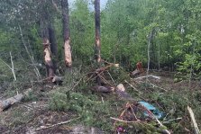 выкса.рф, Subaru опрокинулся в кювет на сноведской трассе