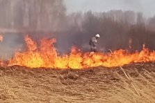 выкса.рф, В субботу пожарным дважды пришлось тушить горящую траву
