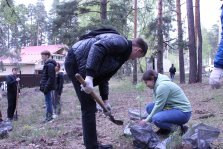 выкса.рф, Студенты МИСиС высадили 250 сосен