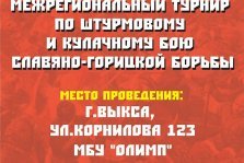 выкса.рф, Межрегиональный турнир по штурмовому и кулачному бою славяно-горицкой борьбы пройдет в Выксе