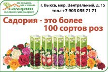 выкса.рф, «Садория»: голландский лук-севок — от 190 рублей за кг
