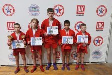 выкса.рф, Межрегиональный турнир принёс 13 медалей юным самбистам