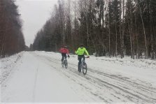 выкса.рф, Выксунские велосипедисты проехали 200-километровый бревет