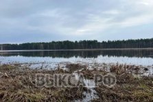 выкса.рф, В Виле полицейский пресек незаконный вылов рыбы с использованием сети