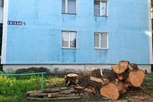 выкса.рф, 🌳 УК «Иверское» провела вырубку деревьев в м-оне Гоголя