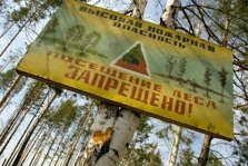 выкса.рф, Предупреждение МЧС: высокая пожароопасность лесов и торфяников