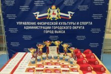 выкса.рф, Фестиваль ГТО и награждение знаками отличия прошли в «Олимпе»