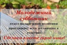 выкса.рф, Молодежный субботник