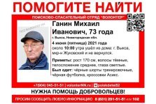 выкса.рф, В лесу за Жуковкой пропал 73-летний Михаил Ганин
