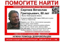 выкса.рф, Волонтёры объявили поиск 80-летнего Вячеслава Сергеева