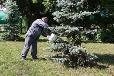 выкса.рф, ОМК поддержала акцию «Ноль воздействия на окружающую среду»