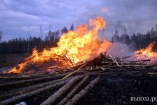 выкса.рф, Выксунской прокуратурой выявлены нарушения в сфере лесопользования, охраны окружающей среды и природопользования