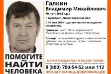 выкса.рф, В Кулебаках пропал 79-летний Владимир Галкин