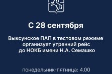выкса.рф, ПАП организует утренний рейс до больницы Семашко