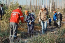 выкса.рф, В Выксе стартует осенняя кампания по восстановлению лесов