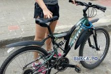 выкса.рф, Два велосипеда украли в Мотмосе