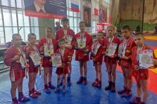 выкса.рф, Десять самбистов стали призёрами турнира в Москве