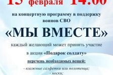 выкса.рф, Концерт в поддержку воинов СВО «Мы вместе»