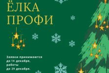 выкса.рф, Конкурс новогодних ёлок «ЁлкаПРОФИ»