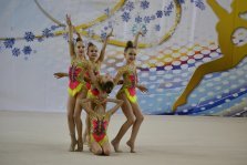 выкса.рф, Юные гимнастки завоевали 12 медалей в Обнинске