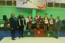 выкса.рф, Юные самбисты из Выксы завоевали медали на Всероссийском турнире в День самбо