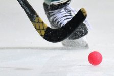 выкса.рф, 53-летний выксунец выиграл хоккейный турнир в Навашине