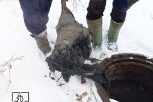 выкса.рф, В Досчатом произошла серьёзная авария на канализационном коллекторе