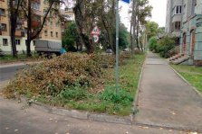 выкса.рф, Около 500 тыс. рублей планируется направить на расчистку территории города