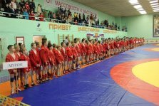 выкса.рф, Выксунские самбисты стали вторыми на всероссийском турнире