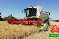 выкса.рф, В Агропромышленное предприятие требуются