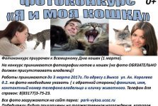 выкса.рф, Фотоконкурс ко Всемирному Дню кошек