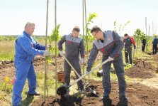 выкса.рф, Более 2 тысяч деревьев и кустарников высадят в Мотмосе до конца года