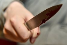 выкса.рф, Пьяный мужчина всадил нож в шею 14-летнего подростка