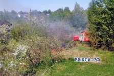 выкса.рф, В «Металлурге» сгорели 300 квадратных метров травы