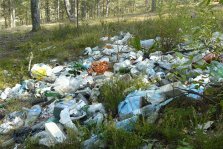 выкса.рф, Суд обязал администрацию Выксы очистить территорию округа от несанкционированной свалки бытовых отходов