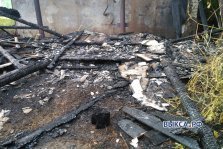 выкса.рф, Общественный туалет сгорел в саду «Мир»
