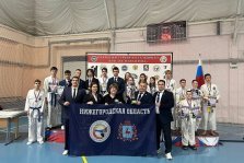 выкса.рф, В Выксе прошел открытый турнир по тхэквондо ИТФ «Железная роза»