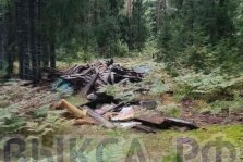 выкса.рф, В лесу у Новодмитриевки обнаружена свалка