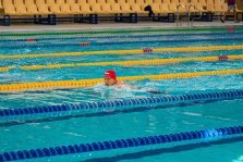 выкса.рф, Юные пловцы представили регион на всероссийских соревнованиях
