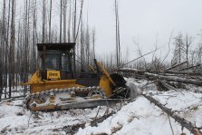 выкса.рф, В Выксе ведется работа по восстановлению и сохранению лесов