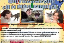 выкса.рф, Фотоконкурс «Я и моя кошка»