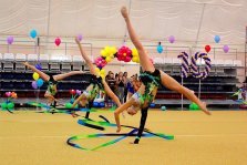 выкса.рф, Выксунские гимнастки успешно выступили на соревнованиях в городе Бор