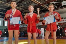 выкса.рф, Юные самбисты выиграли девять медалей на межрегиональном турнире