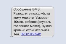 выкса.рф, В Выксе распространили мошенническое СМС с просьбой о сборе крови 10 месячному ребенку