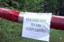выкса.рф, Из-за жаркой погоды в Выксе патрулируются леса