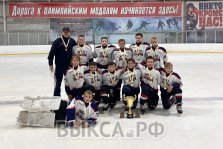 выкса.рф, 🏒 Выксунские хоккеисты выиграли предсезонный турнир в Сеченово