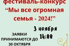 выкса.рф, Фестиваль-конкурс «Мы все огромная семья»